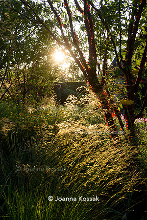 Old Scholl House garden, Designer Matthew Childs, All Photos © Joanna Kossak
