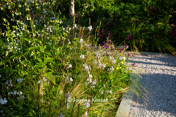 The Viking Friluftsliv Garden, Designed by Will Williams