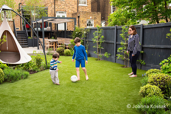 Camberwell garden in Summer