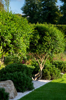 The Viking Friluftsliv Garden, Designed by Will Williams