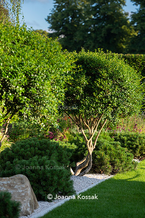 The Viking Friluftsliv Garden, Designed by Will Williams