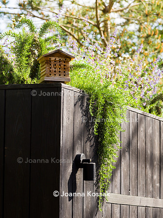 Designer Tony Woods, Qian Gao/ Garden Club London All photos ©Joanna Kossak
