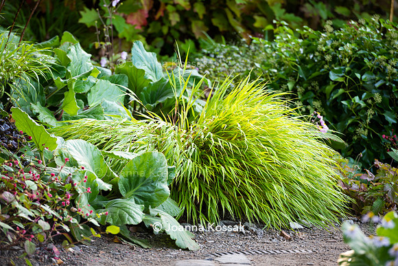 The M&G Garden, Desiners: Charlotte Harris and Hugo Bugg