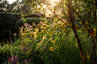 Old Scholl House garden, Designer Matthew Childs, All Photos © Joanna Kossak