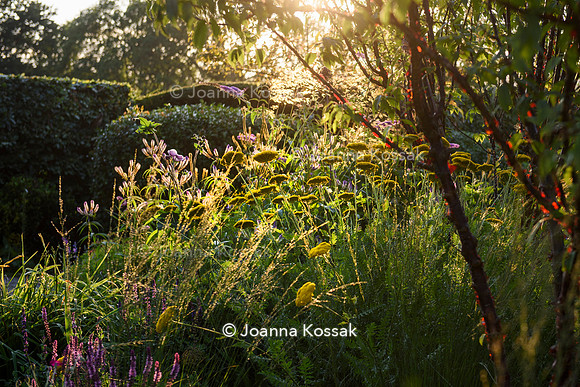 Old Scholl House garden, Designer Matthew Childs, All Photos © Joanna Kossak
