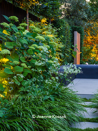 Edge Hill garden. Designer Tom Howard. All Photos © Joanna Kossak
