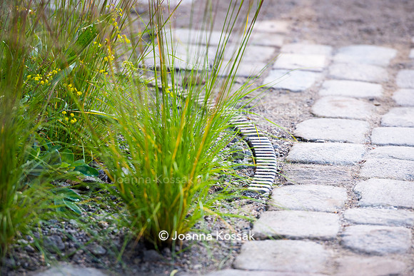 The M&G Garden, Desiners: Charlotte Harris and Hugo Bugg