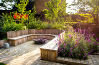 Camberwell garden in Summer