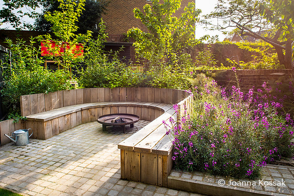 Camberwell garden in Summer