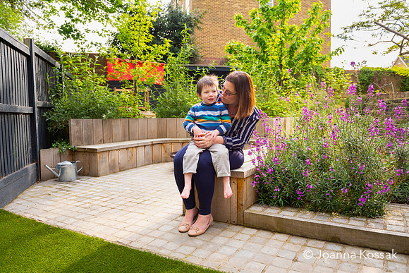 Camberwell garden in Summer