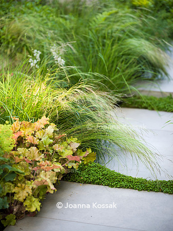 Edge Hill garden. Designer Tom Howard. All Photos © Joanna Kossak