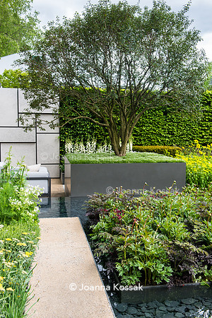 The Telegraph Garden, Chelsea Flower Show 2015 by garden photographer Joanna Kossak
