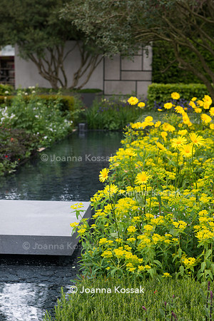 The Telegraph Garden, Chelsea Flower Show 2015 by garden photographer Joanna Kossak