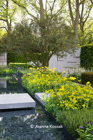 The Telegraph Garden, Chelsea Flower Show 2015 by garden photographer Joanna Kossak