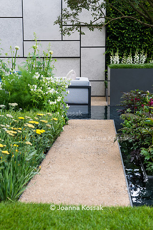 The Telegraph Garden, Chelsea Flower Show 2015 by garden photographer Joanna Kossak
