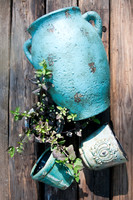 Flowerpots / Feature