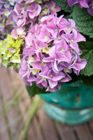 Flowerpots / Feature
