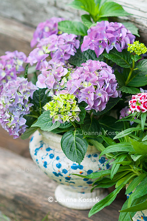 Flowerpots / Feature