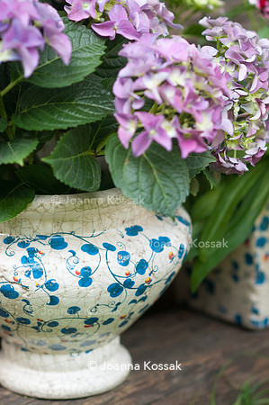 Flowerpots / Feature