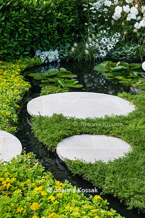 concrete circular slabs over a pond surrounded by Chamaemelum nobile (chamomile lawn) and Sedum carpet