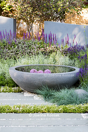 H U G: Healing Urban Garden; view of modern concrete circular water feature and grey paving slabs surrounded by Festuca glauca (blue fescue grass), Lavandula, Thymes   - Designer: Rae Wilkinson; Spons