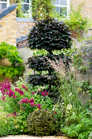 Wimbledon Garden. Designed by Tony Woods/ Garden Club London, All Photos © Joanna Kossak