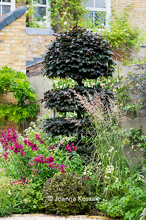 Wimbledon Garden. Designed by Tony Woods/ Garden Club London, All Photos © Joanna Kossak