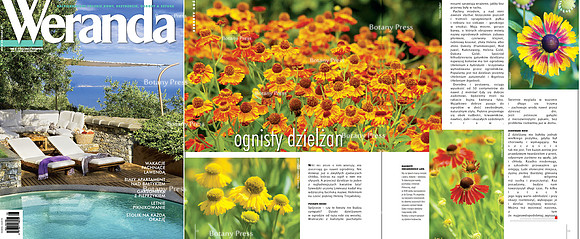 Weranda 8/2012