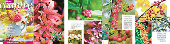 Weranda Country 6/2011 October/November
