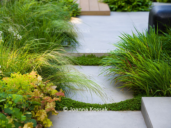 Edge Hill garden. Designer Tom Howard. All Photos © Joanna Kossak