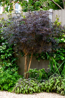 Wimbledon Garden. Designed by Tony Woods/ Garden Club London, All Photos © Joanna Kossak