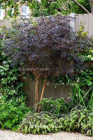 Wimbledon Garden. Designed by Tony Woods/ Garden Club London, All Photos © Joanna Kossak