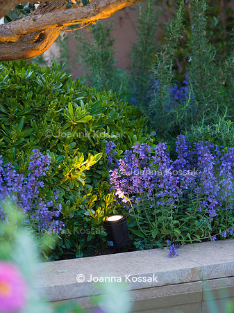 Hamptons Mediterranean Garden