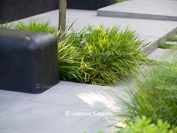 Edge Hill garden. Designer Tom Howard. All Photos © Joanna Kossak