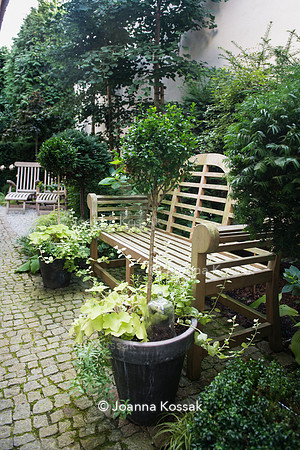 Paved path with teak bench