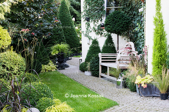 Teak bench amongst clipped evergreen taxus