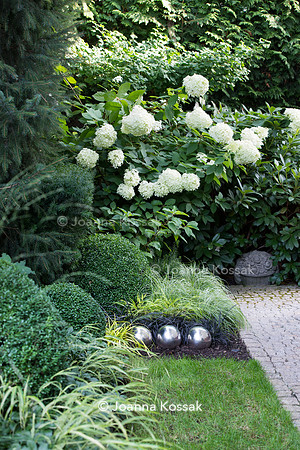 Paved path in front garden