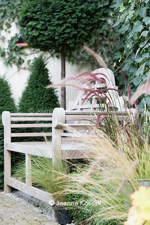 Teak bench amongst grasses