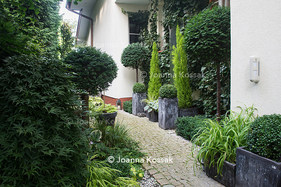 Paved path in the rear garden