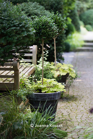 Granite stone path - rear garden