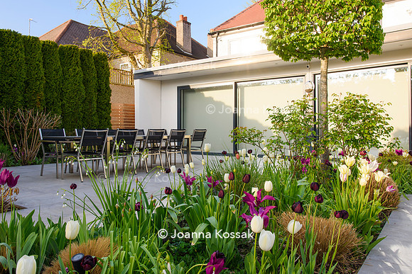 Purley Garden, Designer Ruth Willmott,  All Photos © Joanna Kossak