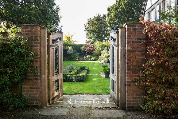 Open wooden gate leading to the garden; Trachelospermum jasminoides covering the wall