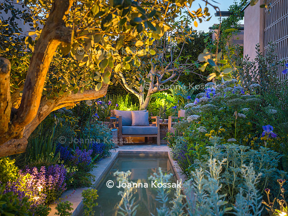 Hamptons Mediterranean Garden