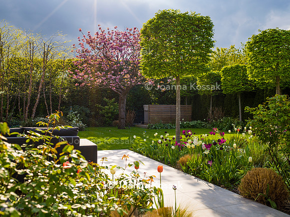 Purley Garden, Designer Ruth Willmott,  All Photos © Joanna Kossak