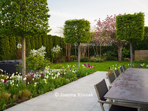 Purley Garden, Designer Ruth Willmott,  All Photos © Joanna Kossak
