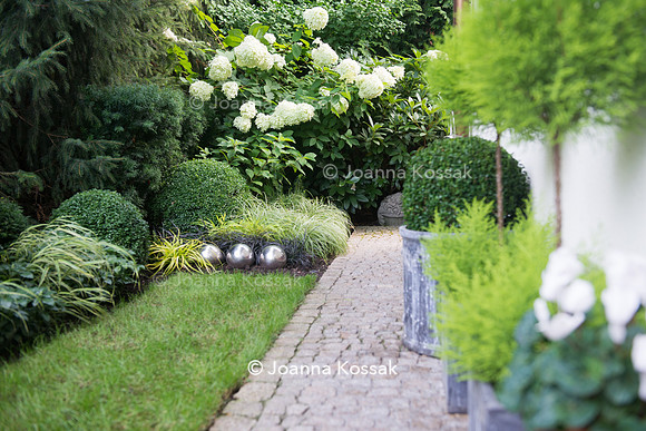 Paved path in front garden