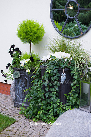 Flower pots around front door