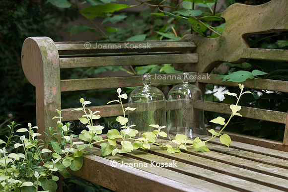Teak bench with two glass bells