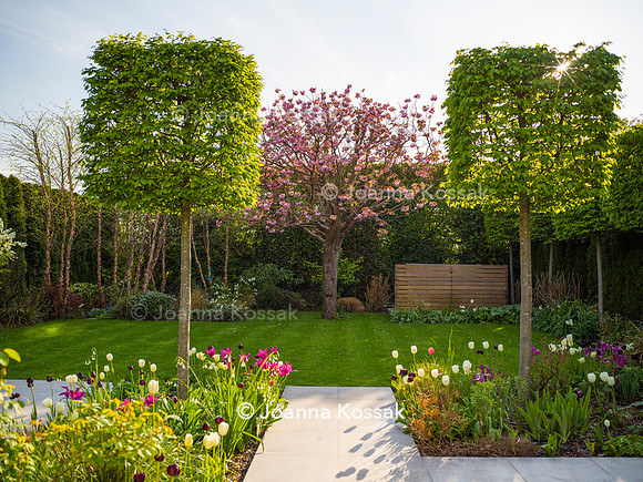 Purley Garden, Designer Ruth Willmott,  All Photos © Joanna Kossak