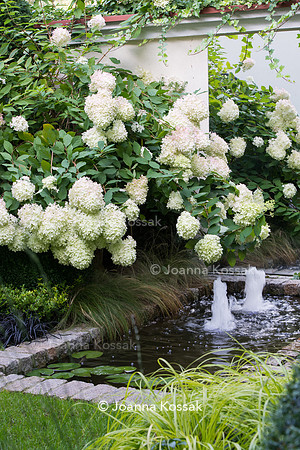 The garden pond with fountain